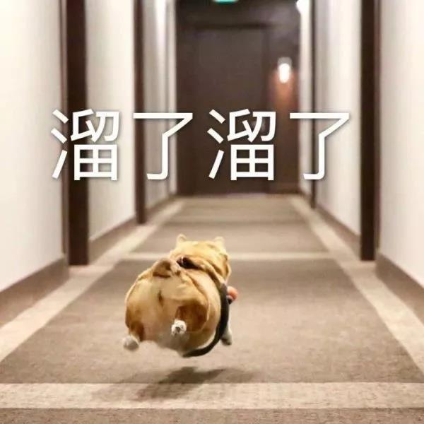 微信图片_20200827162741.jpg