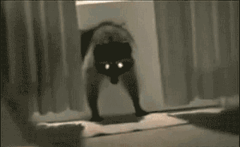 微信图片_20200827153202.gif