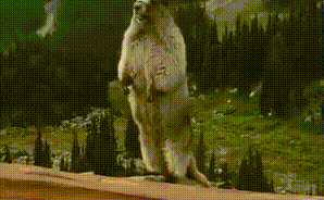 微信图片_20200827160854.gif